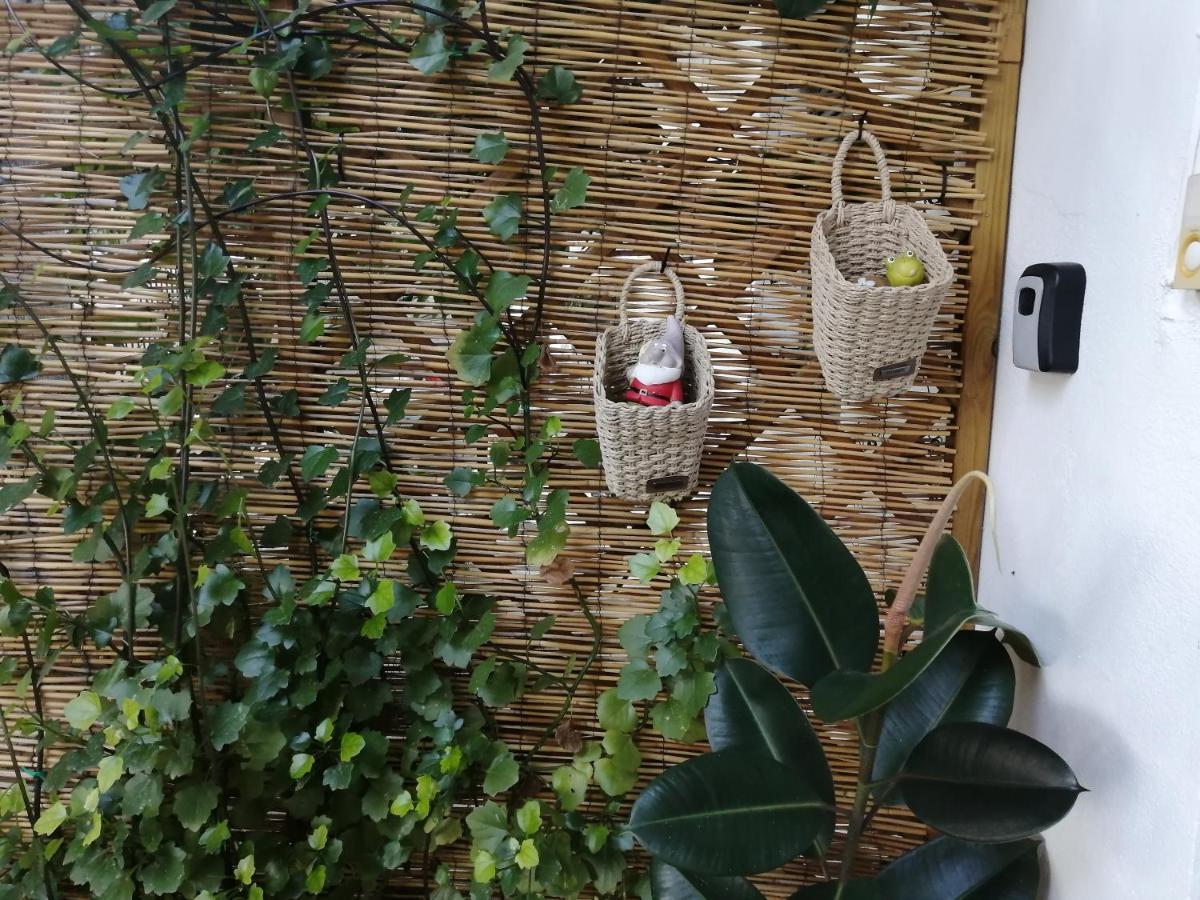 Olga'S Cozy Nest , Apartment In Ano Korakiana. Zewnętrze zdjęcie