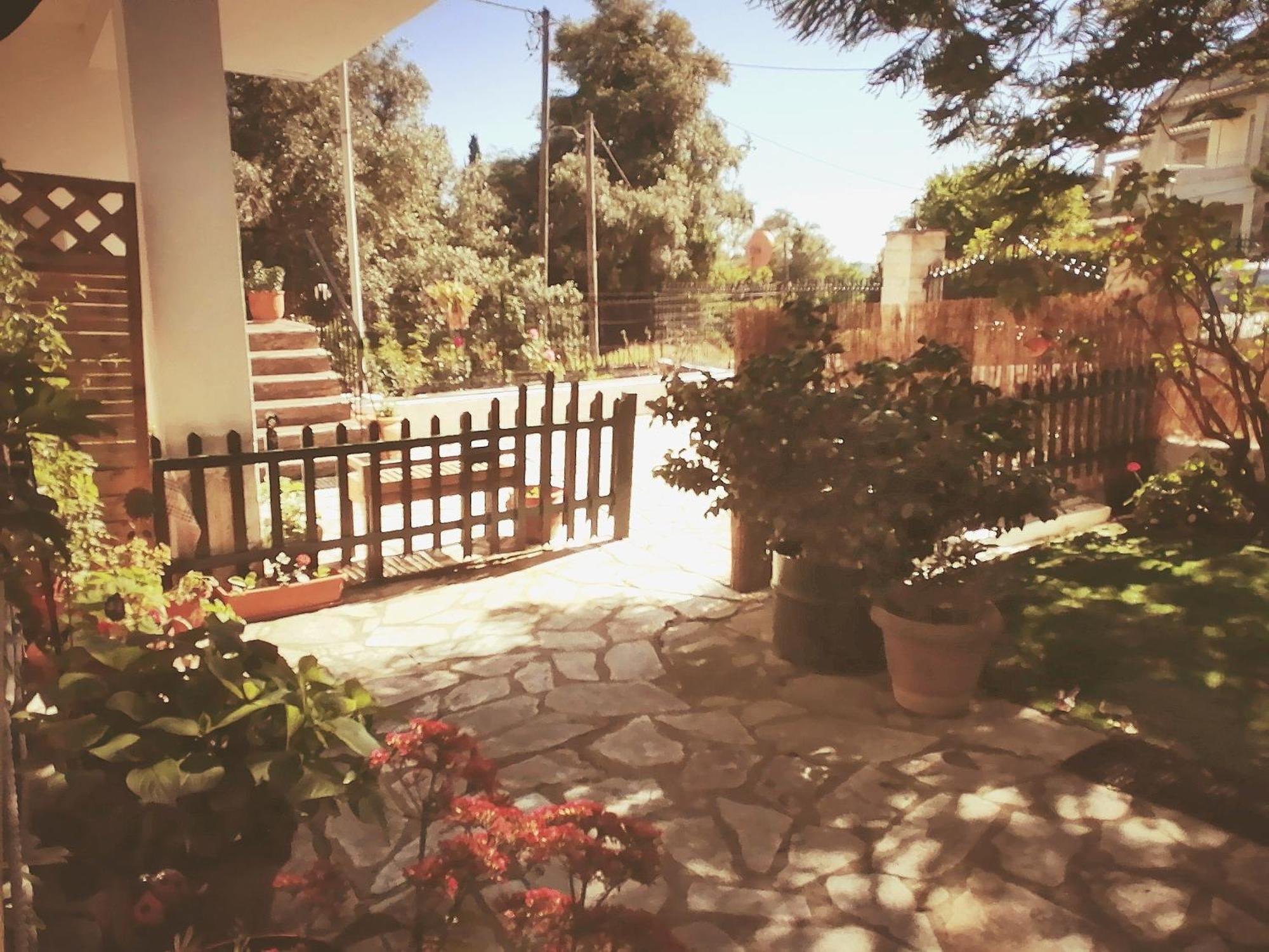 Olga'S Cozy Nest , Apartment In Ano Korakiana. Zewnętrze zdjęcie