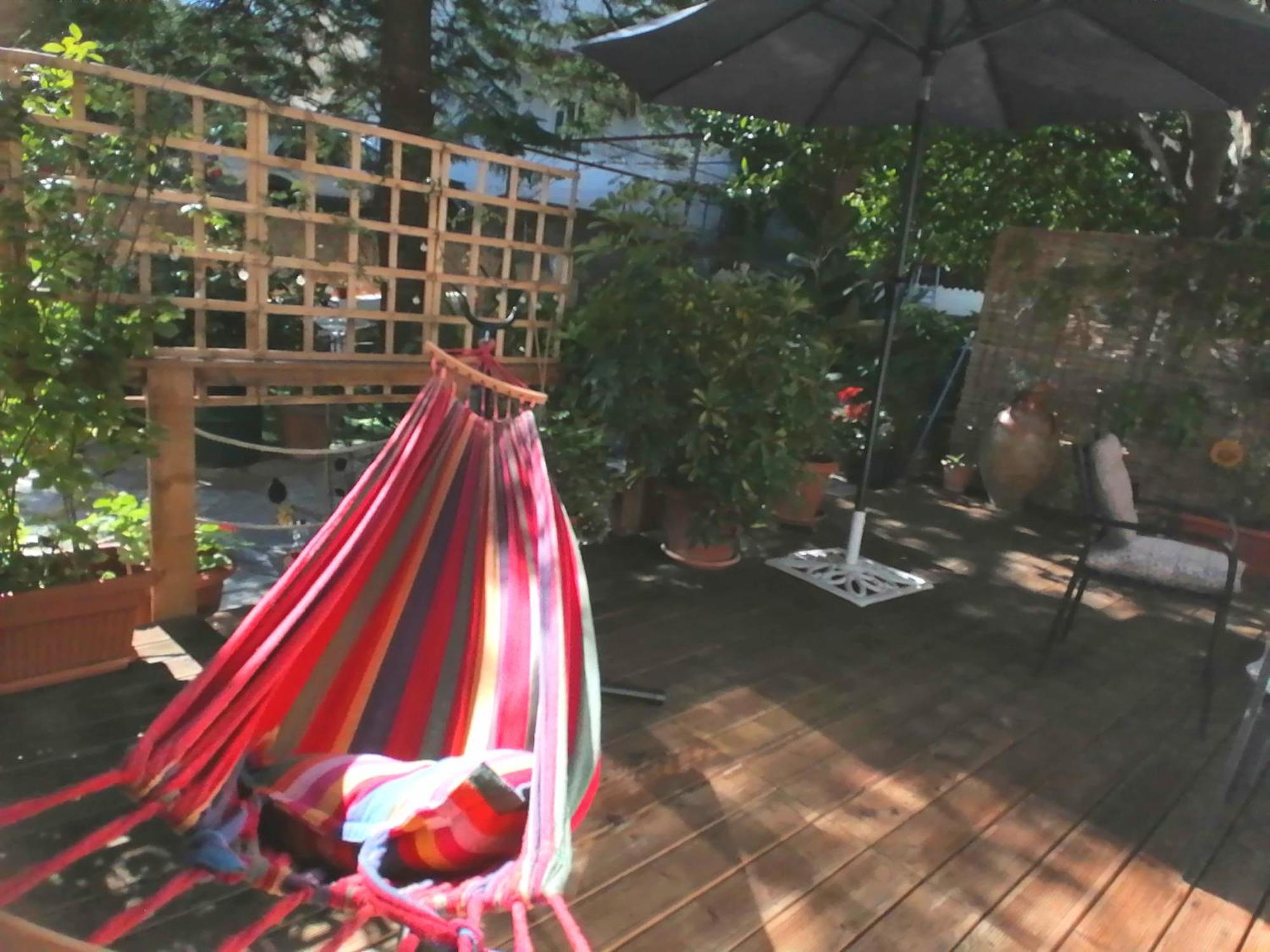 Olga'S Cozy Nest , Apartment In Ano Korakiana. Zewnętrze zdjęcie