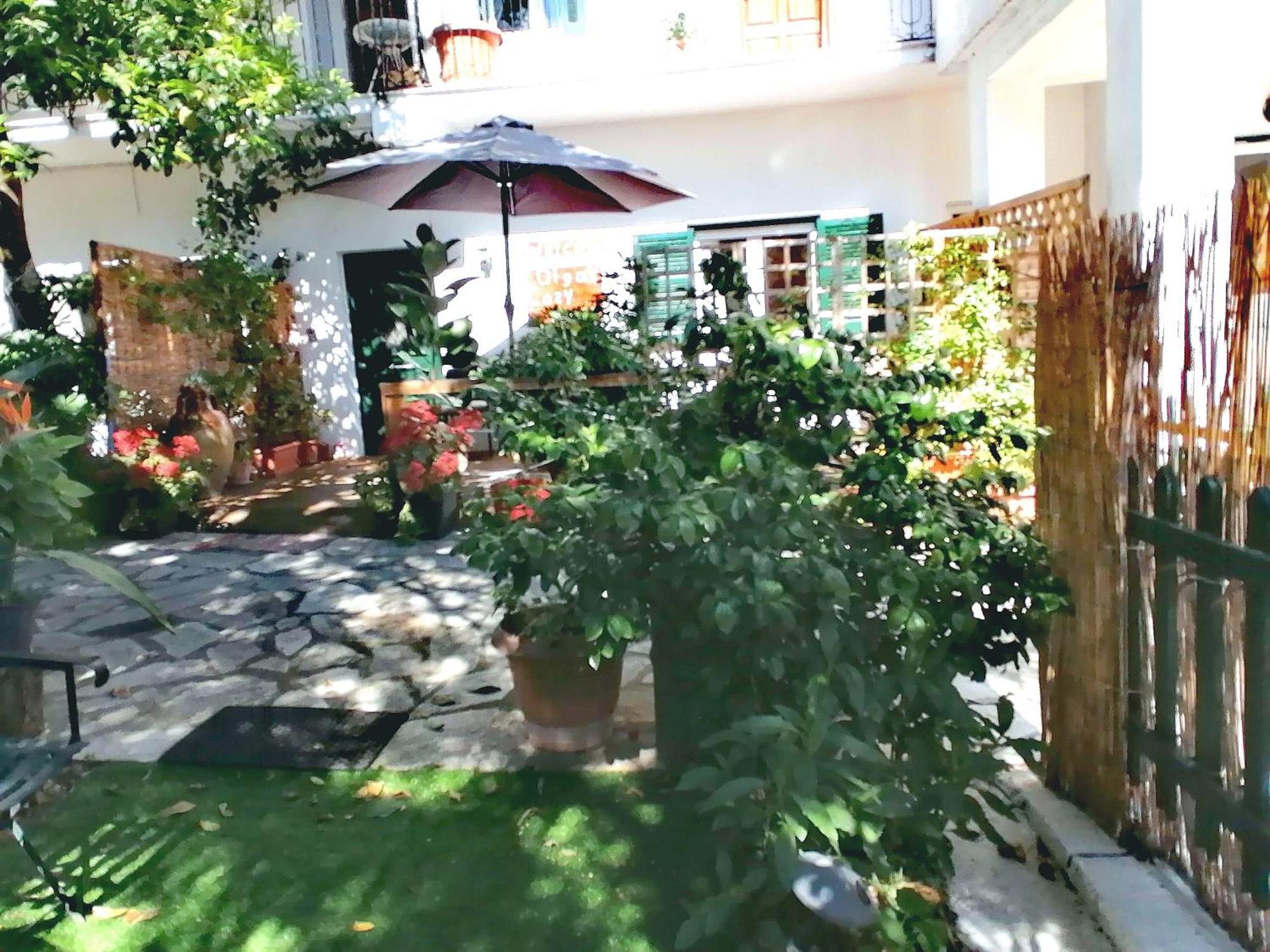 Olga'S Cozy Nest , Apartment In Ano Korakiana. Zewnętrze zdjęcie