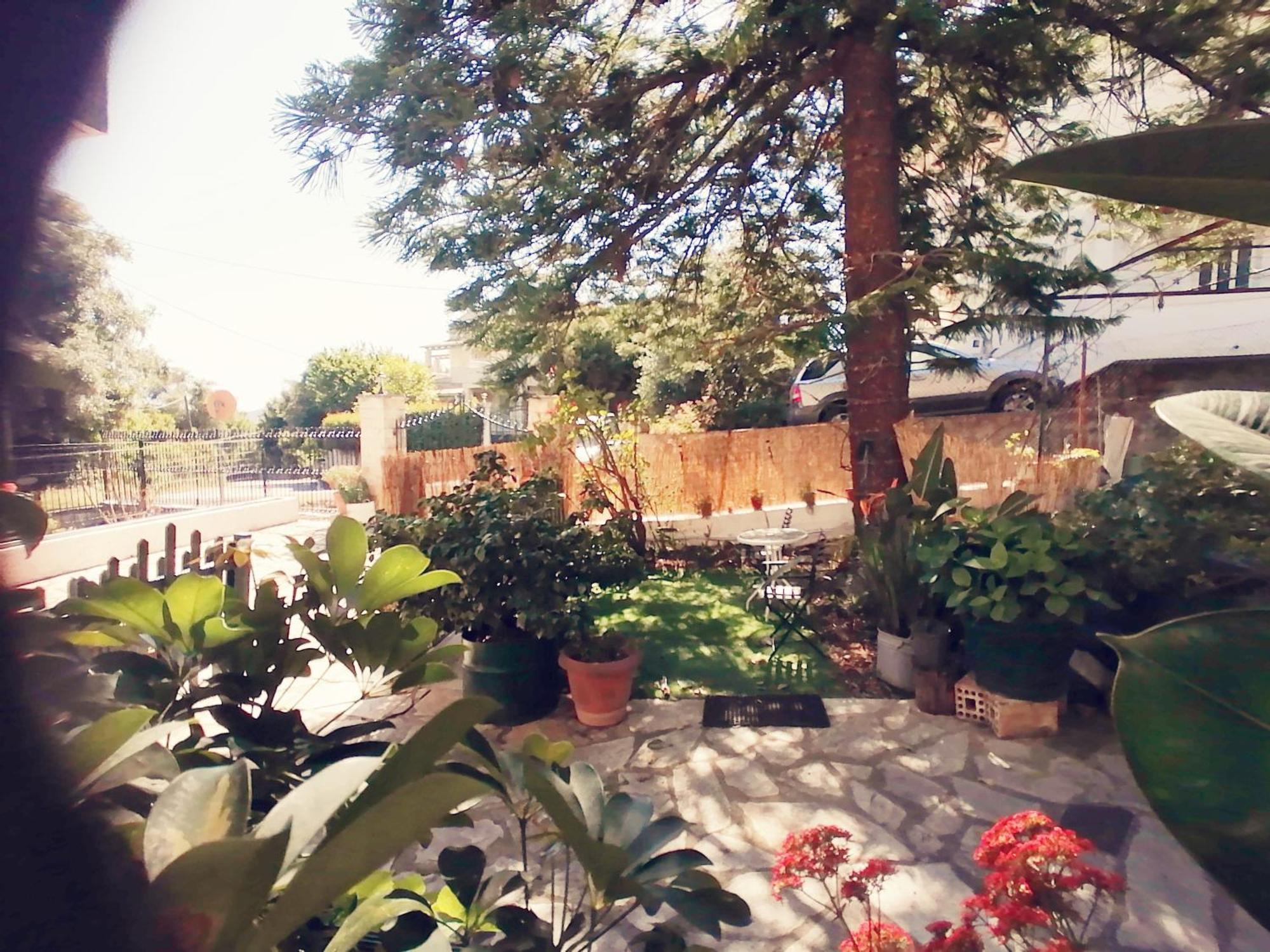 Olga'S Cozy Nest , Apartment In Ano Korakiana. Zewnętrze zdjęcie